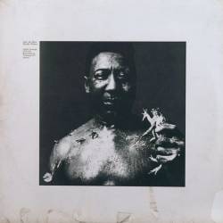Muddy Waters : After the Rain
